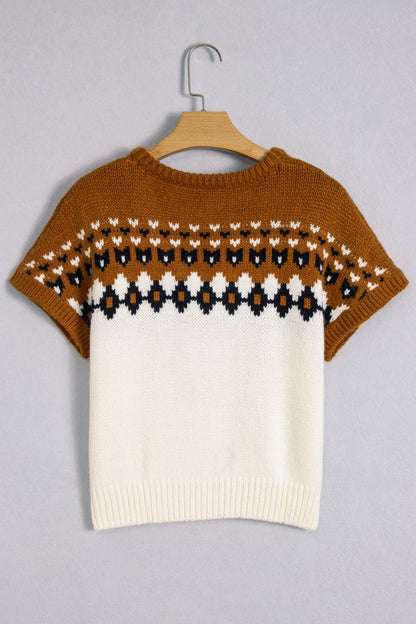 Brown V Neck Short Sleeve Sweater