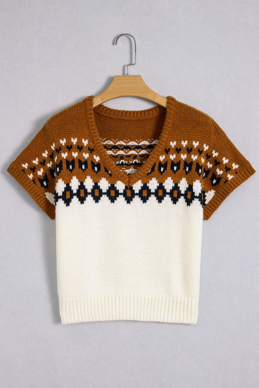 Brown V Neck Short Sleeve Sweater